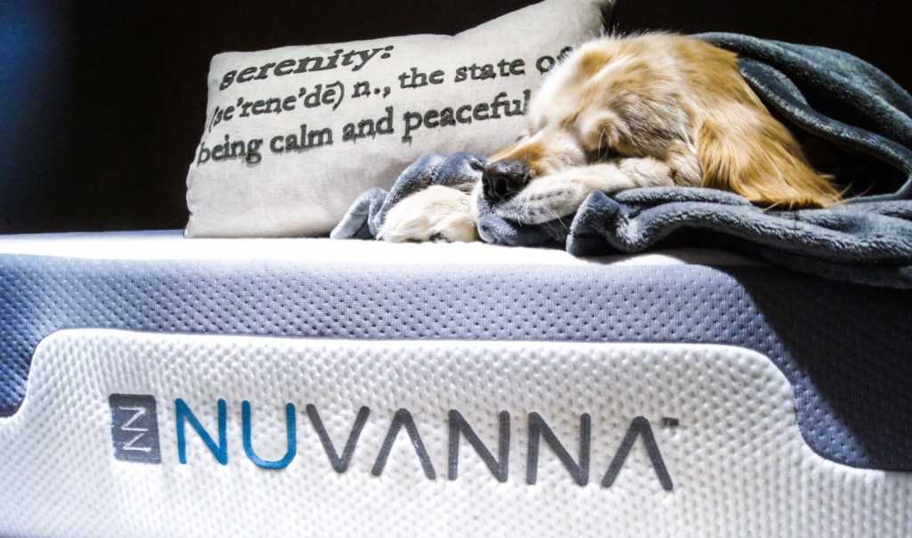 Nuvanna Mattress with Dog Sleeping on It